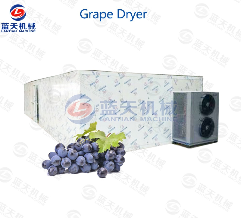 grape dryer equipment