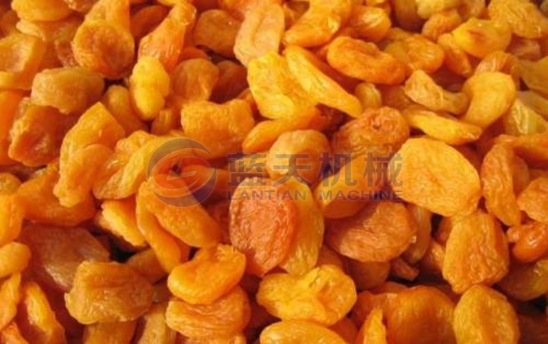 apricots drying machine