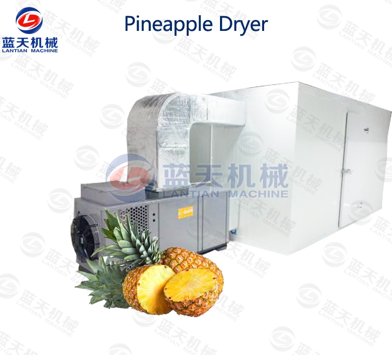 pineapple dryer for sale