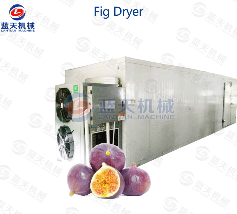 Fig Dryer